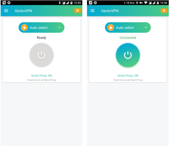 Gecko VPN for PC