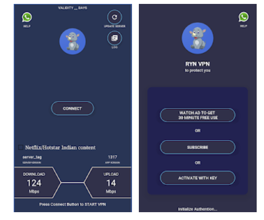 RYN VPN app PC download
